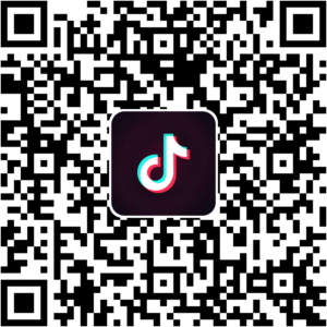 抖音小程序